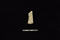 陶片藏品圖，第2張